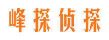 岳阳楼侦探公司